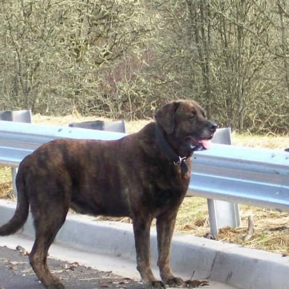 Meet your Posher, Melina - Picture 10 of 12